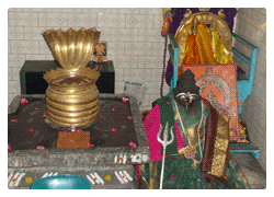 Simha Rasi ( Leo ) Simha Rasi ( Leo )